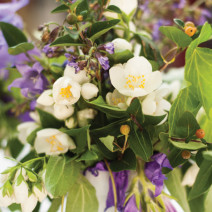 This wedding in a guide to backyard weddings in Edible Allegheny .