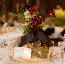 Perfect plum @ Union Project. Photography by Cara Rufenacht .