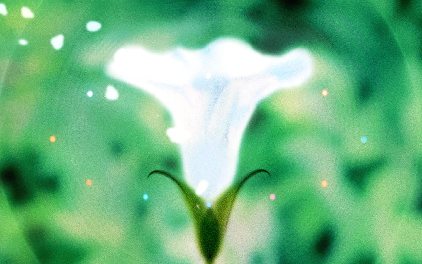 _LuluFloraCoverV5.5.png