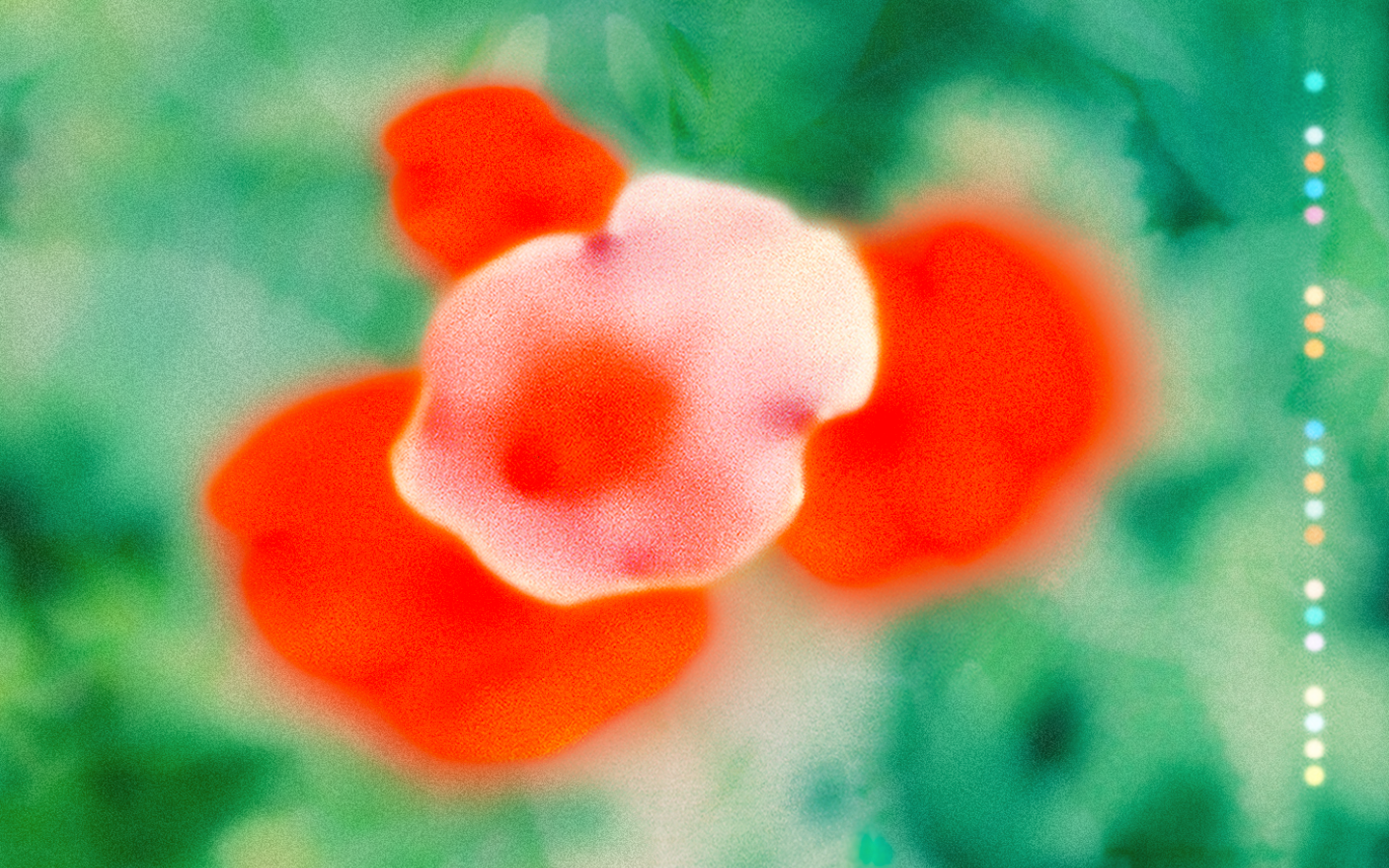 _LuluFloraCoverV9.png