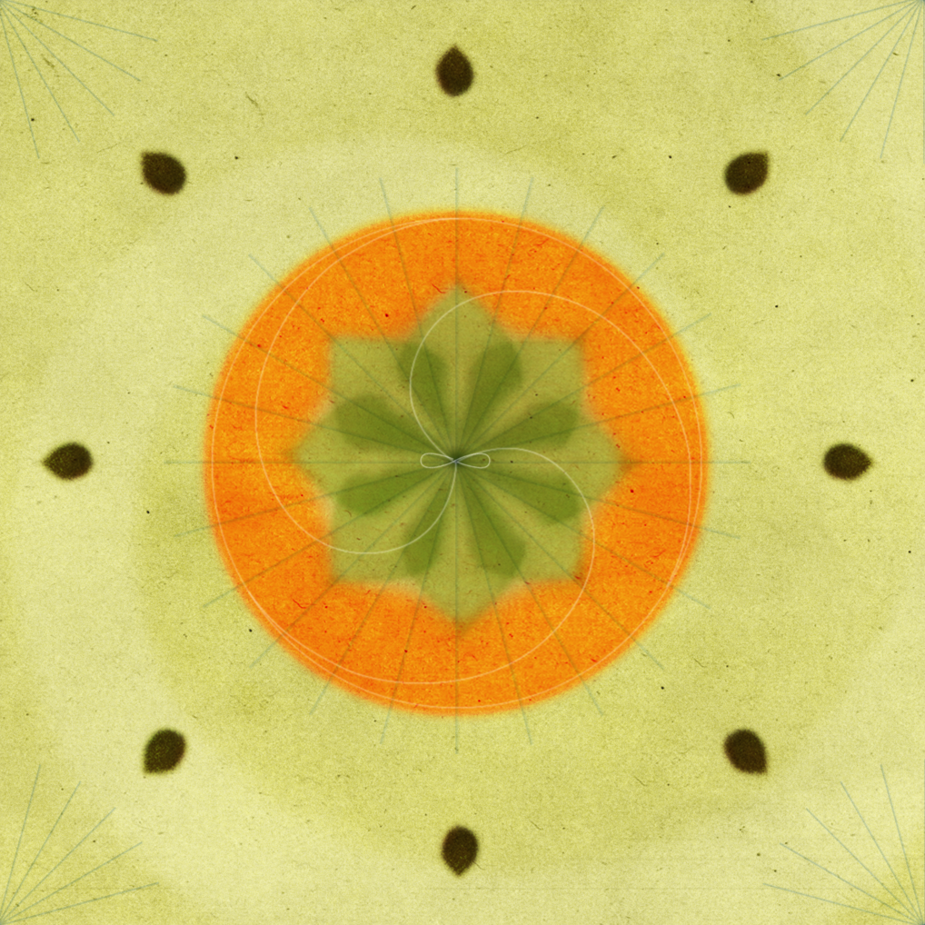 _persimmon.png