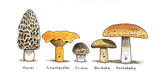 image (5).png