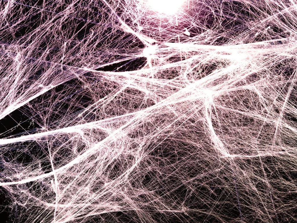 Fascia and the Channels Of Acupuncture