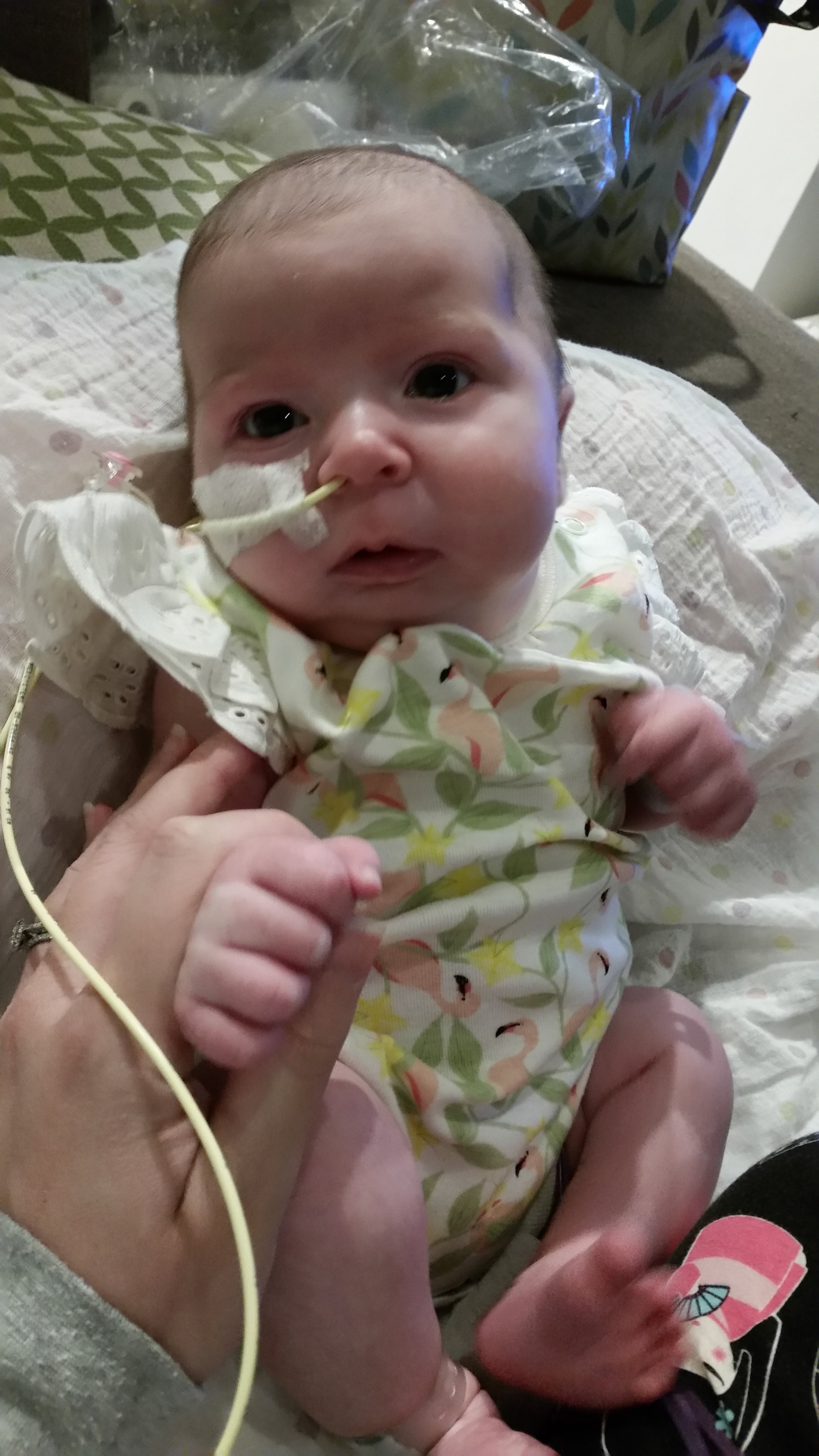 2015-08-07 19.29.20.jpg