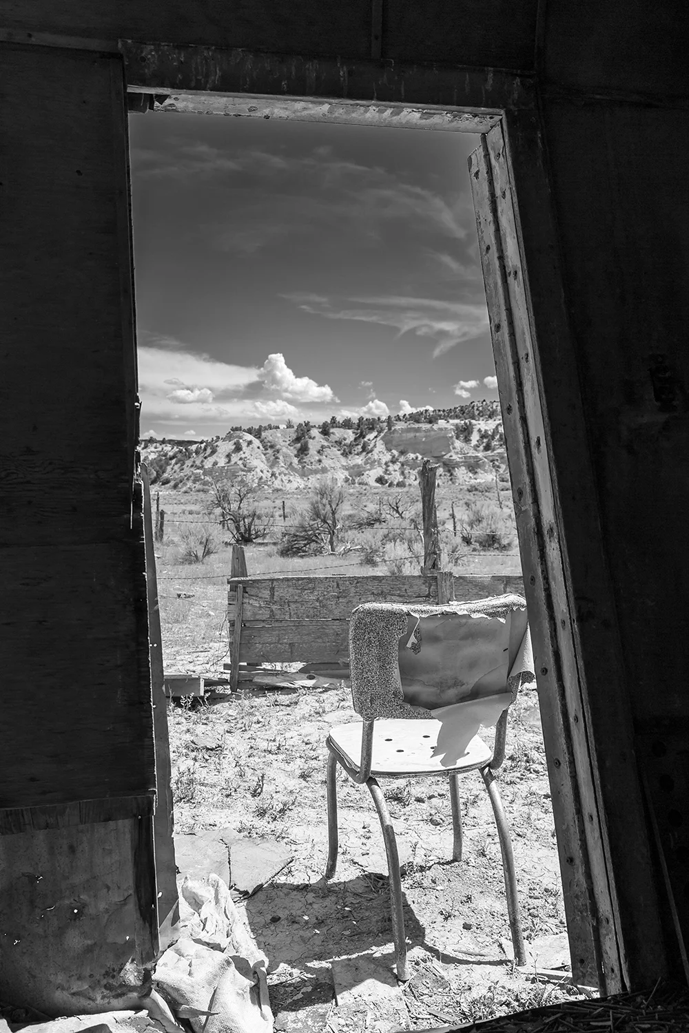 _L0A8951bw+copy.jpg