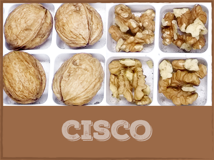 CISCO Cisco walnuts are harvested late in the season and have kernels comparable to those of a Franquette variety. They are generally used as a pollinizer for Howard and Chandler walnuts due to their moderate yield.