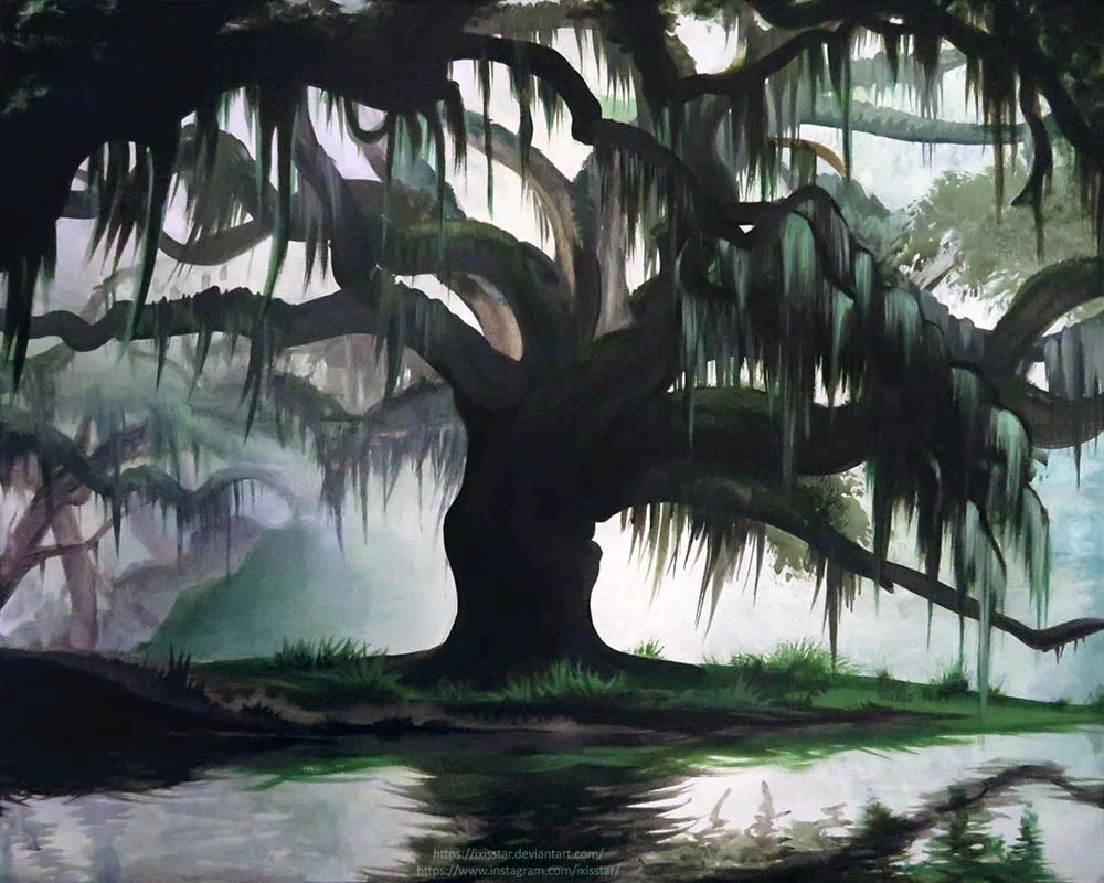 Bayou-9-27-17-for-web.jpg