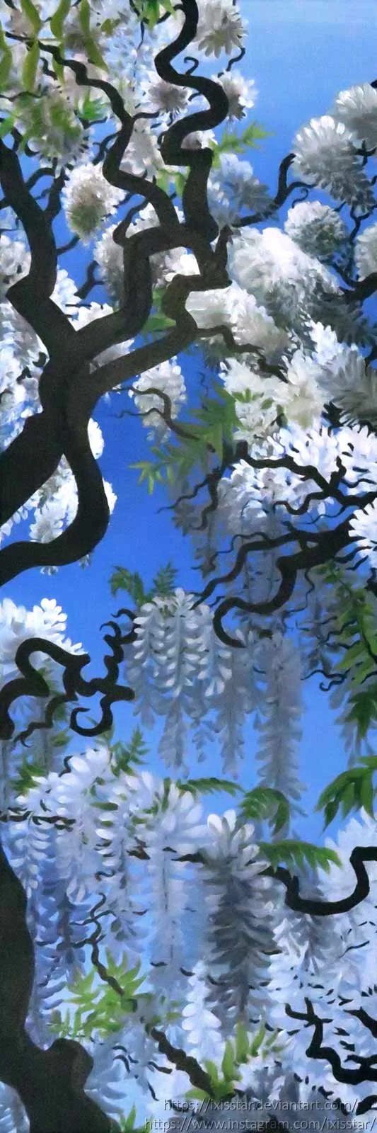 Wisteria-Sky-11-27-17-for-web.jpg