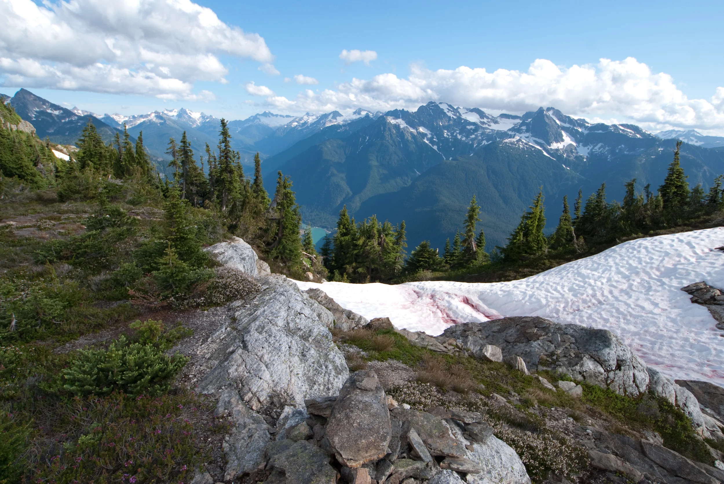 Pink snow