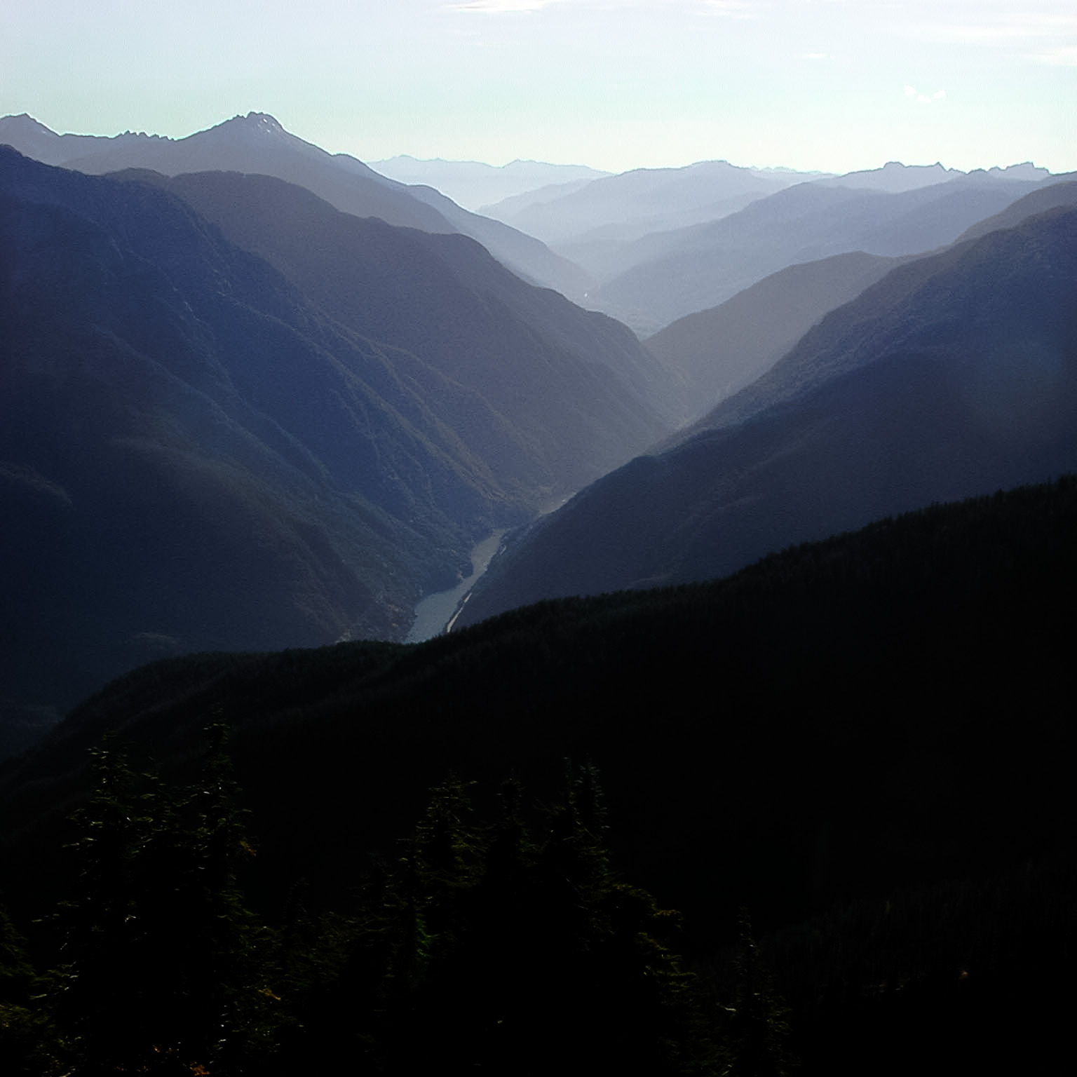 Skagit Valley Blues