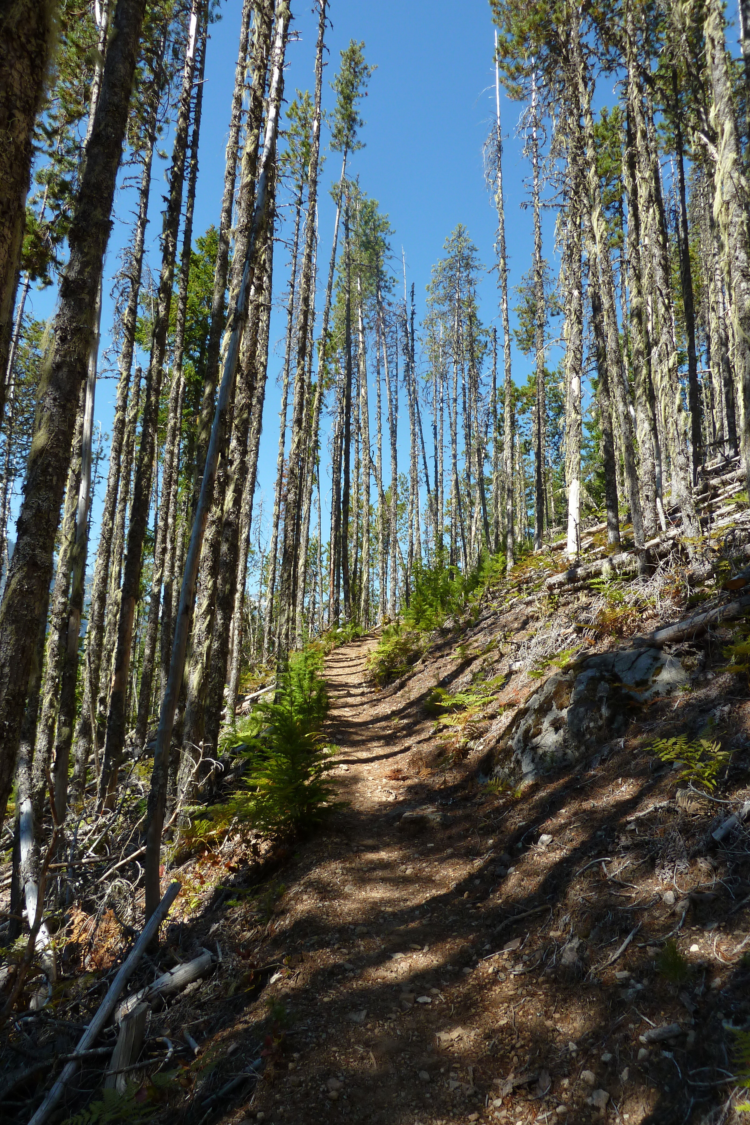 Steep lower trail