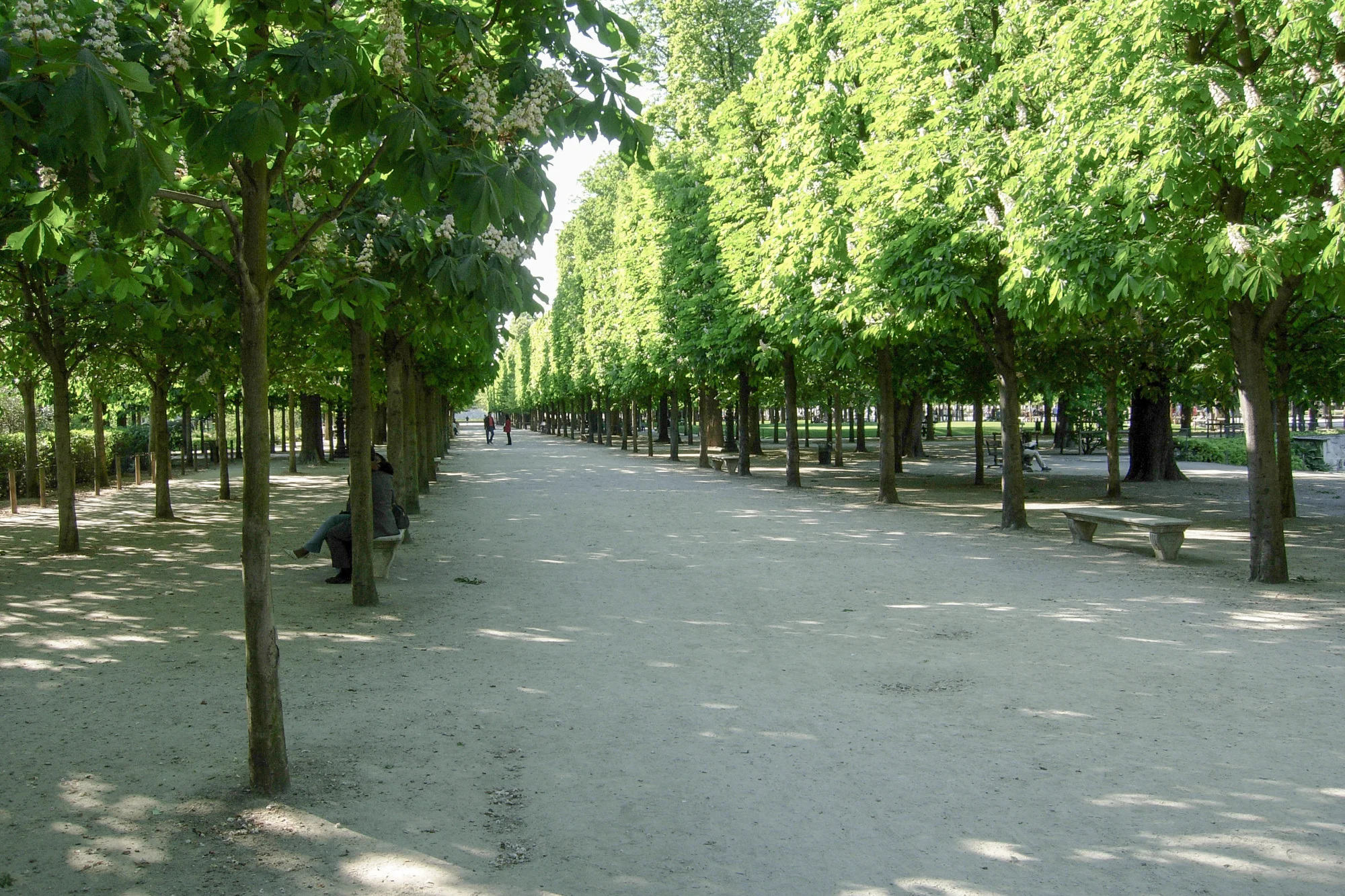 park grounds