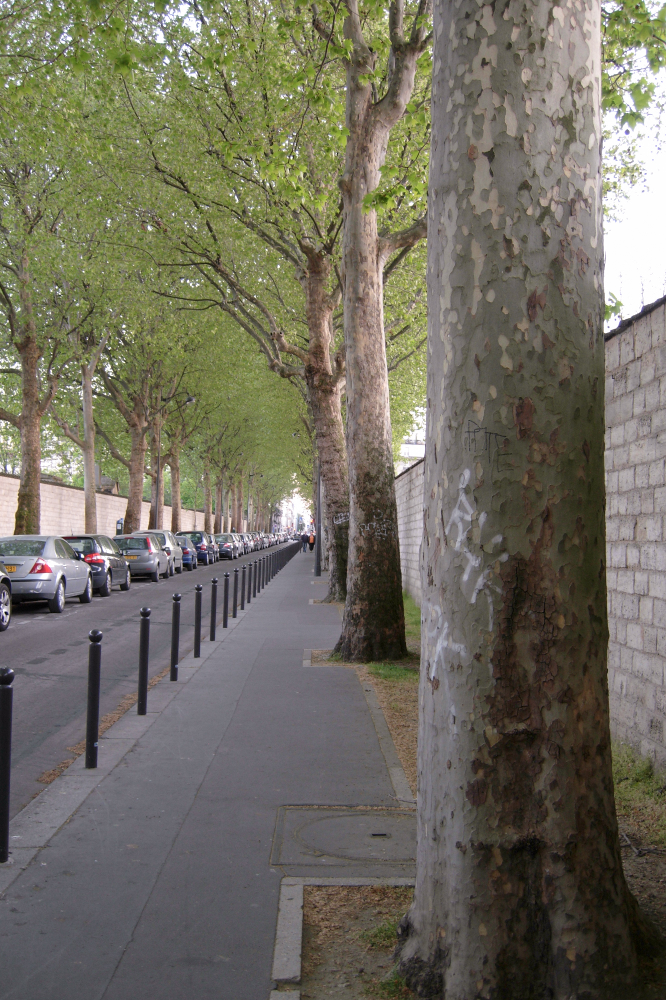 Rue Emile Richard