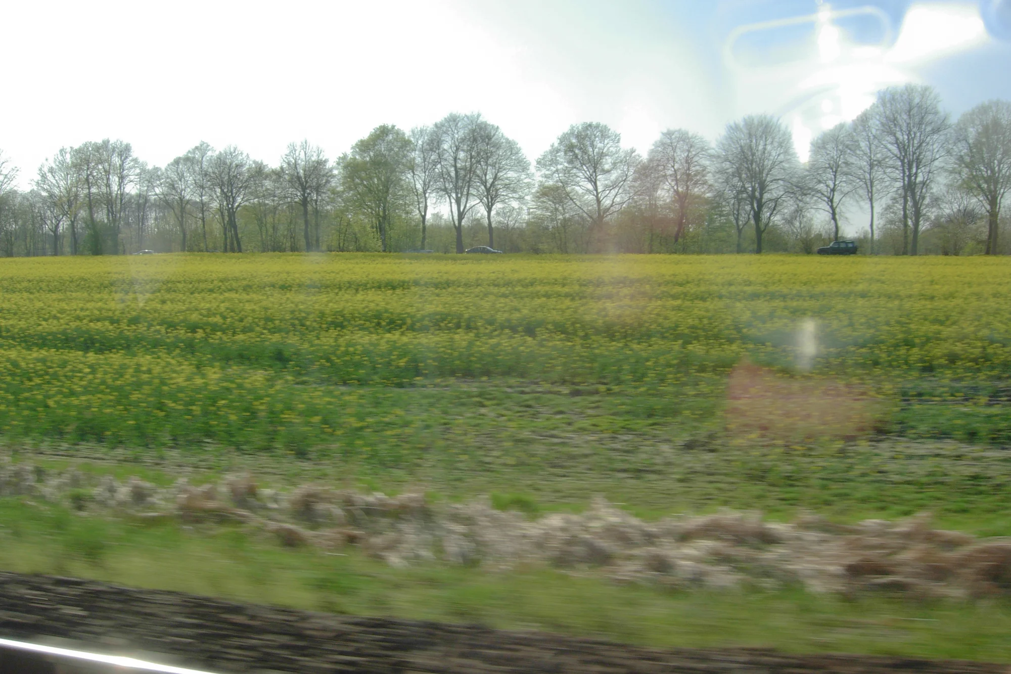 train ride