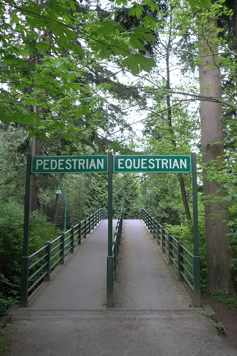 pedestrian | equestrian