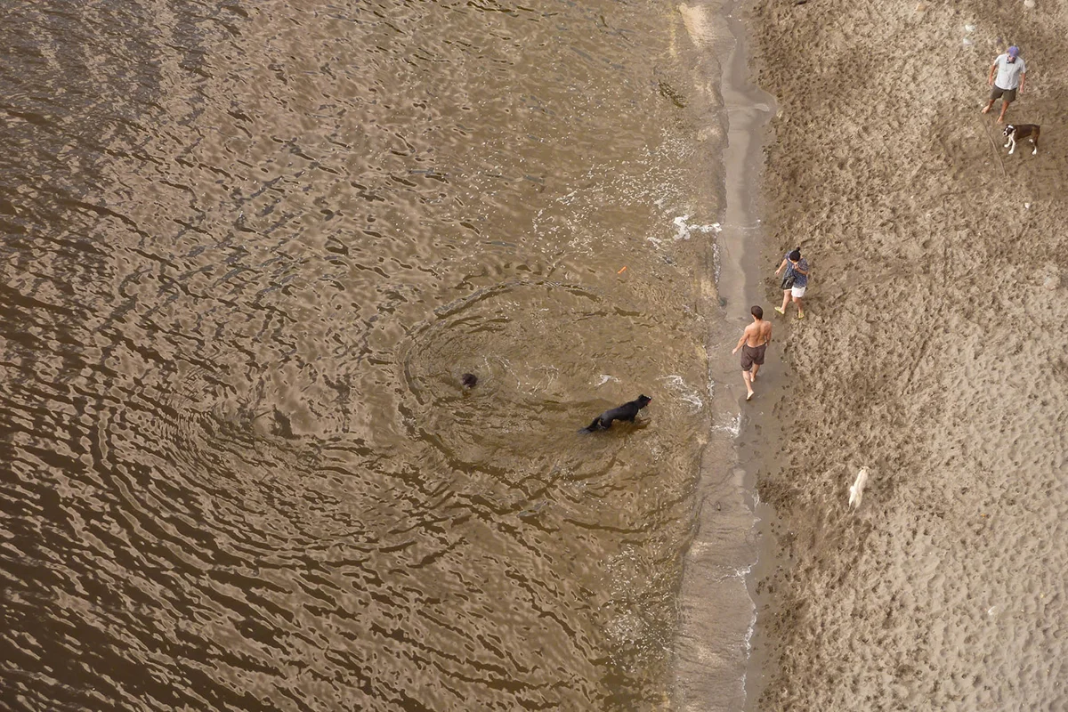 dog beach