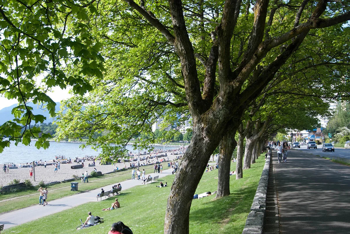 Vancouver's Sunday Groovers