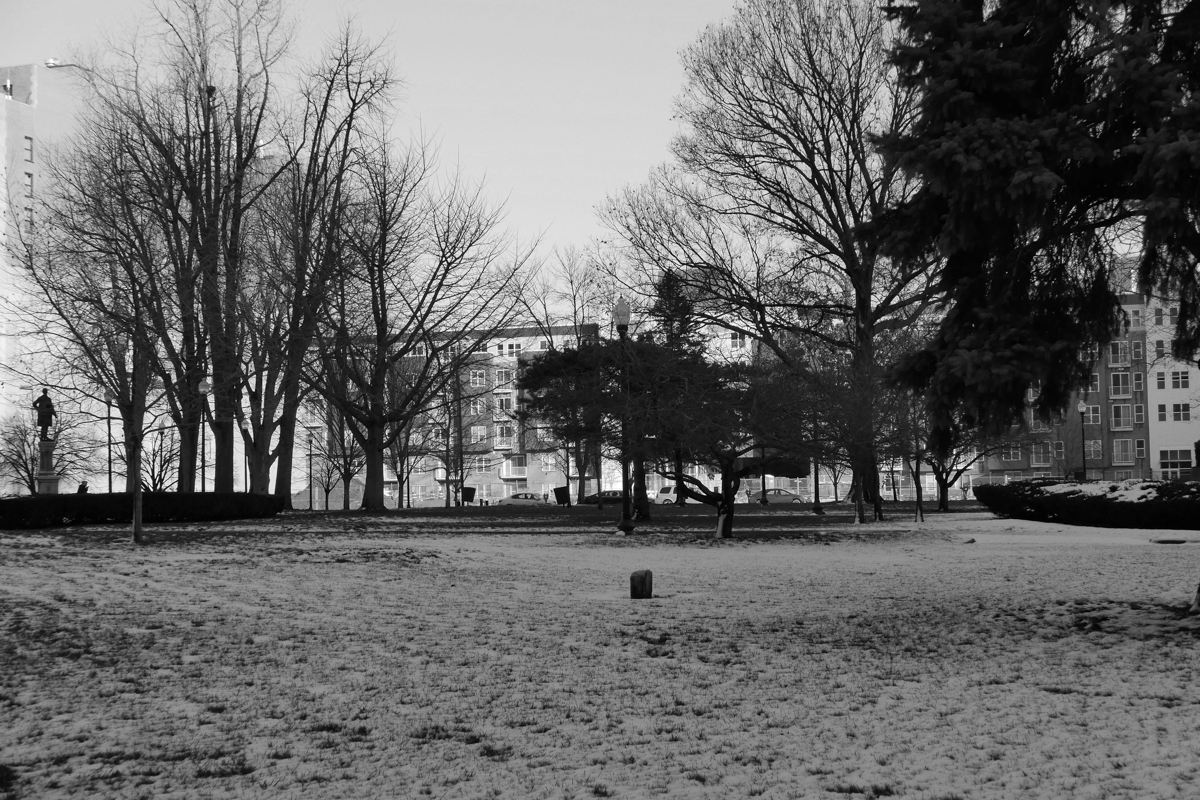 Park, downtown.