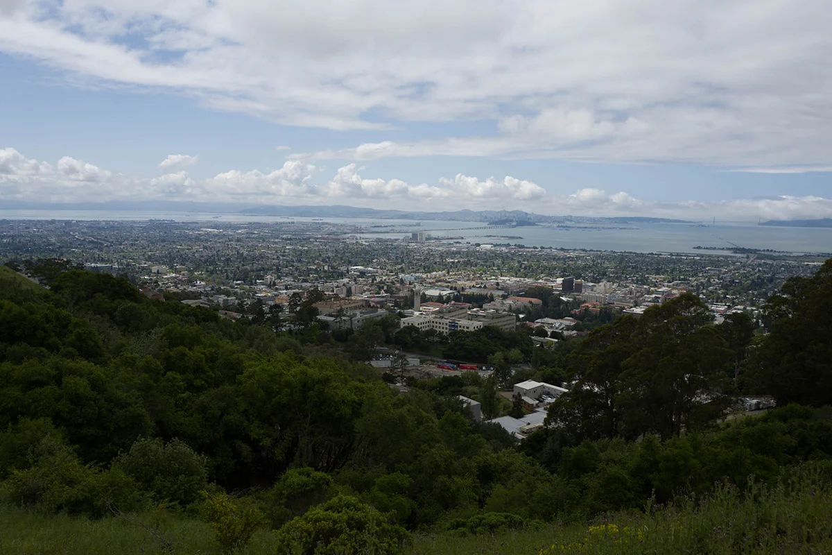 Berkeley flatlands