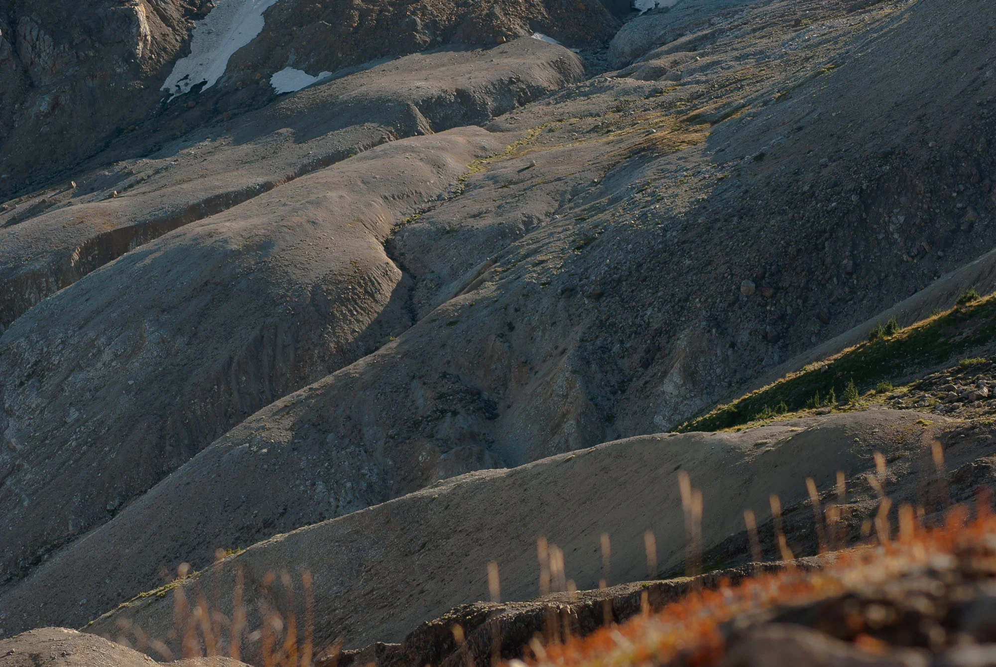 ancient lava fields