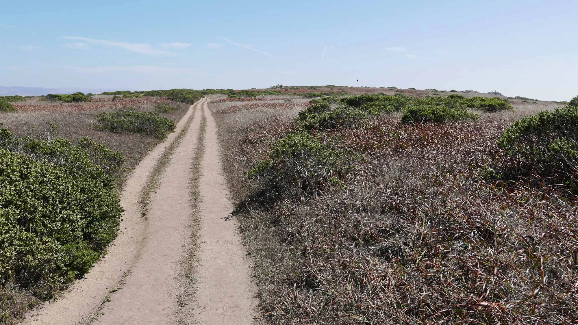 fire road