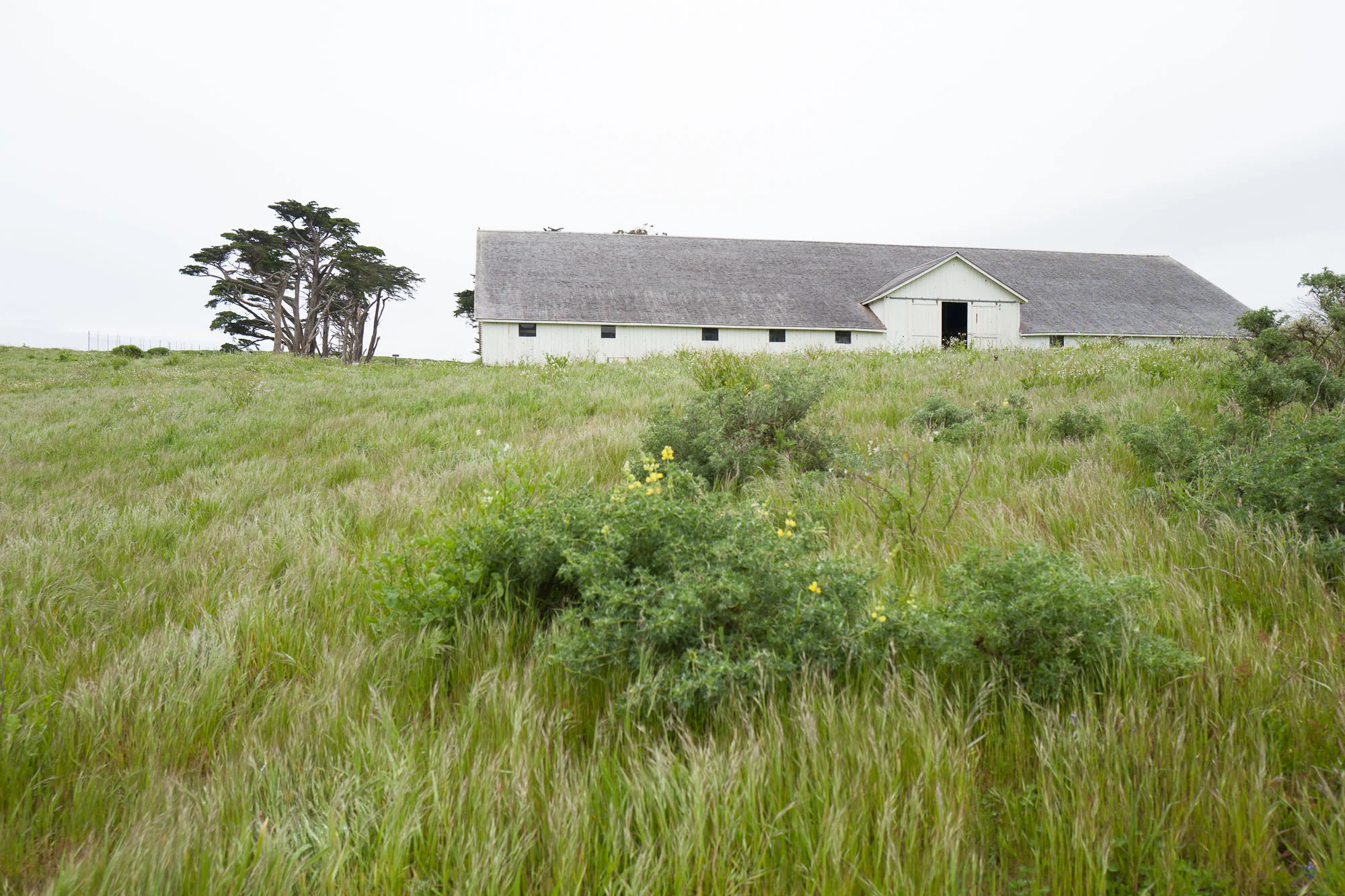 Pierce Point Ranch building
