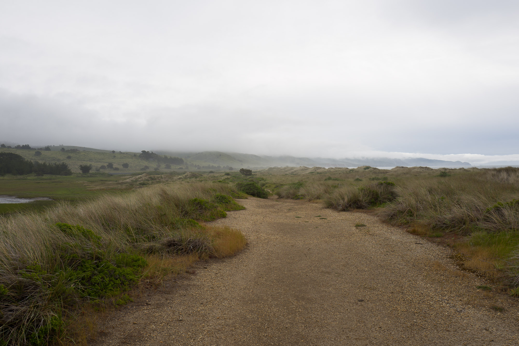 seashore scrublands