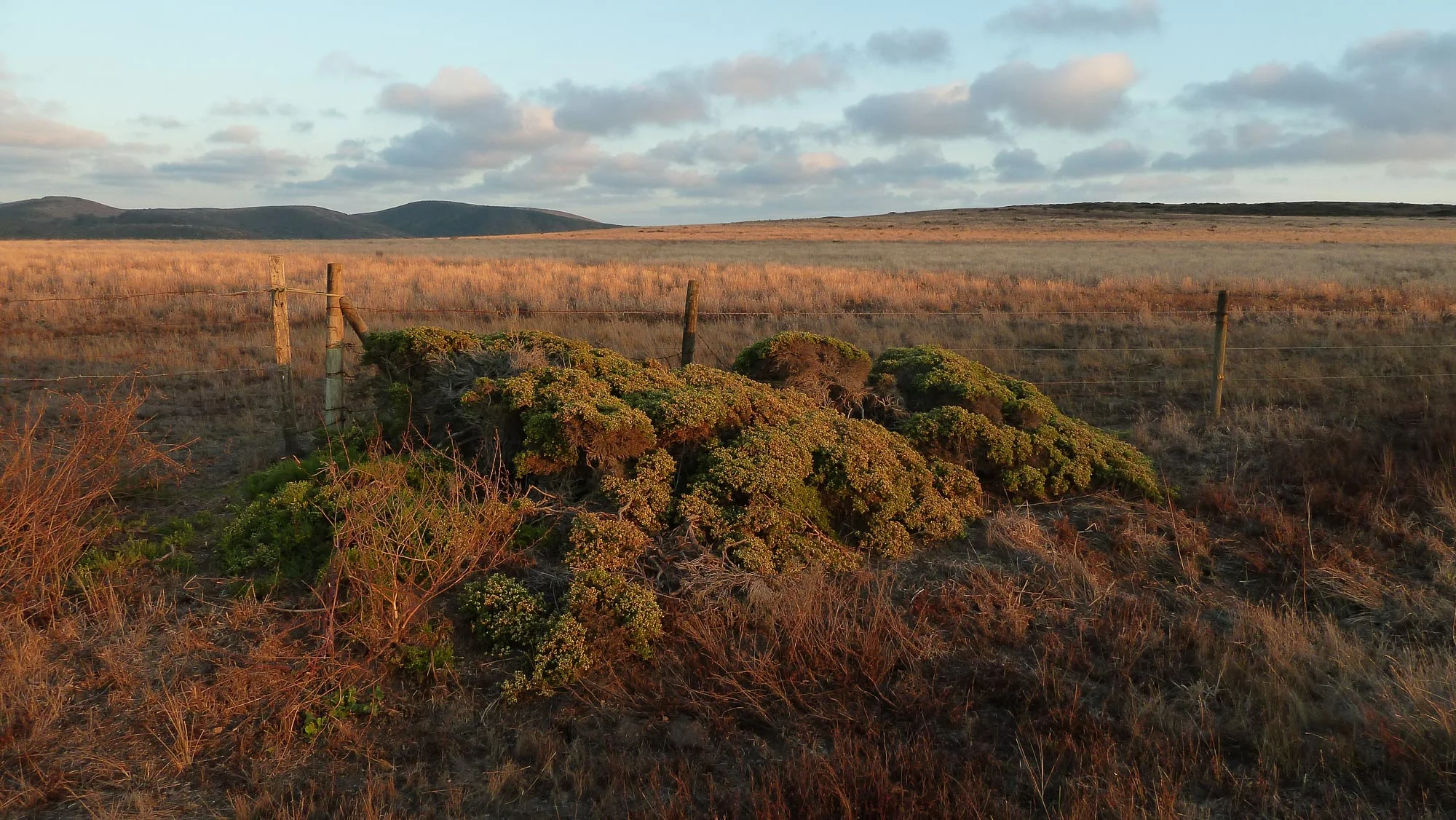 pastoral lands