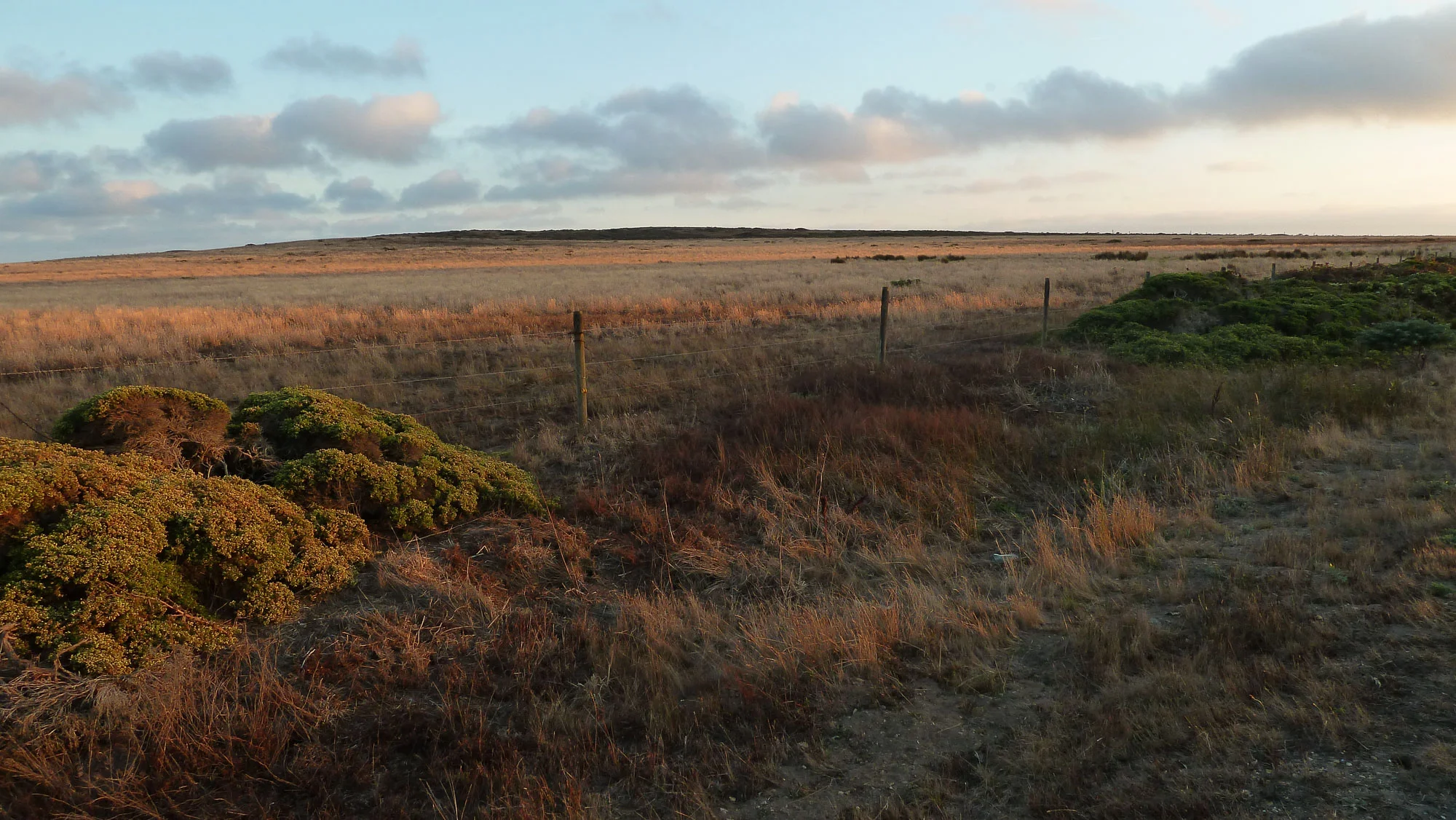 pastoral lands