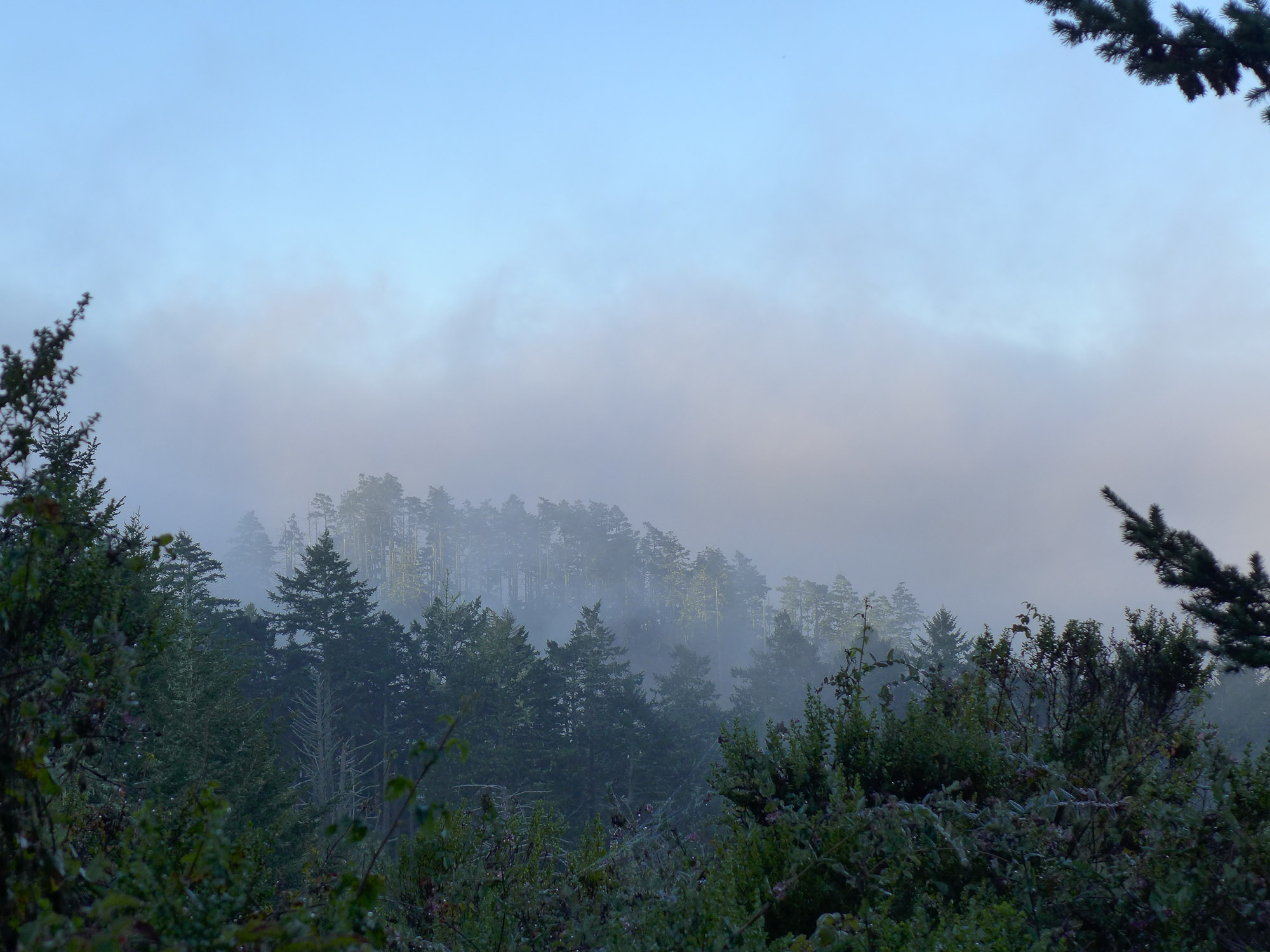 fog lift