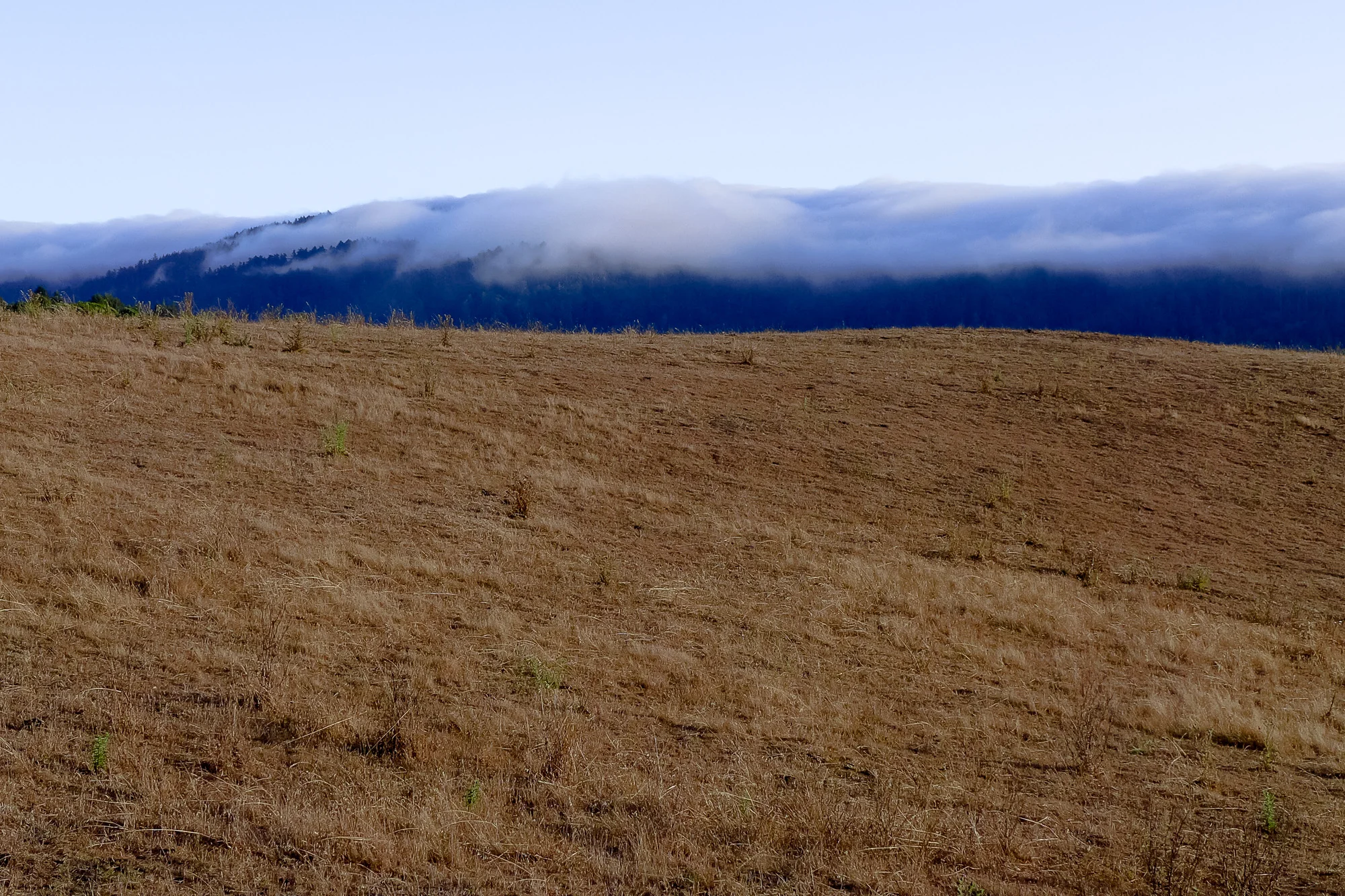 rangelands