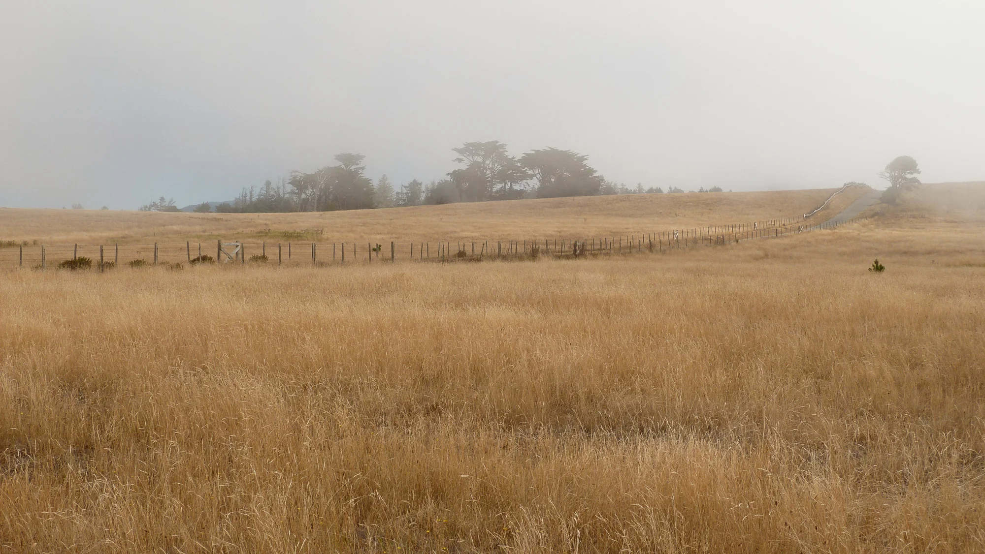 rangelands