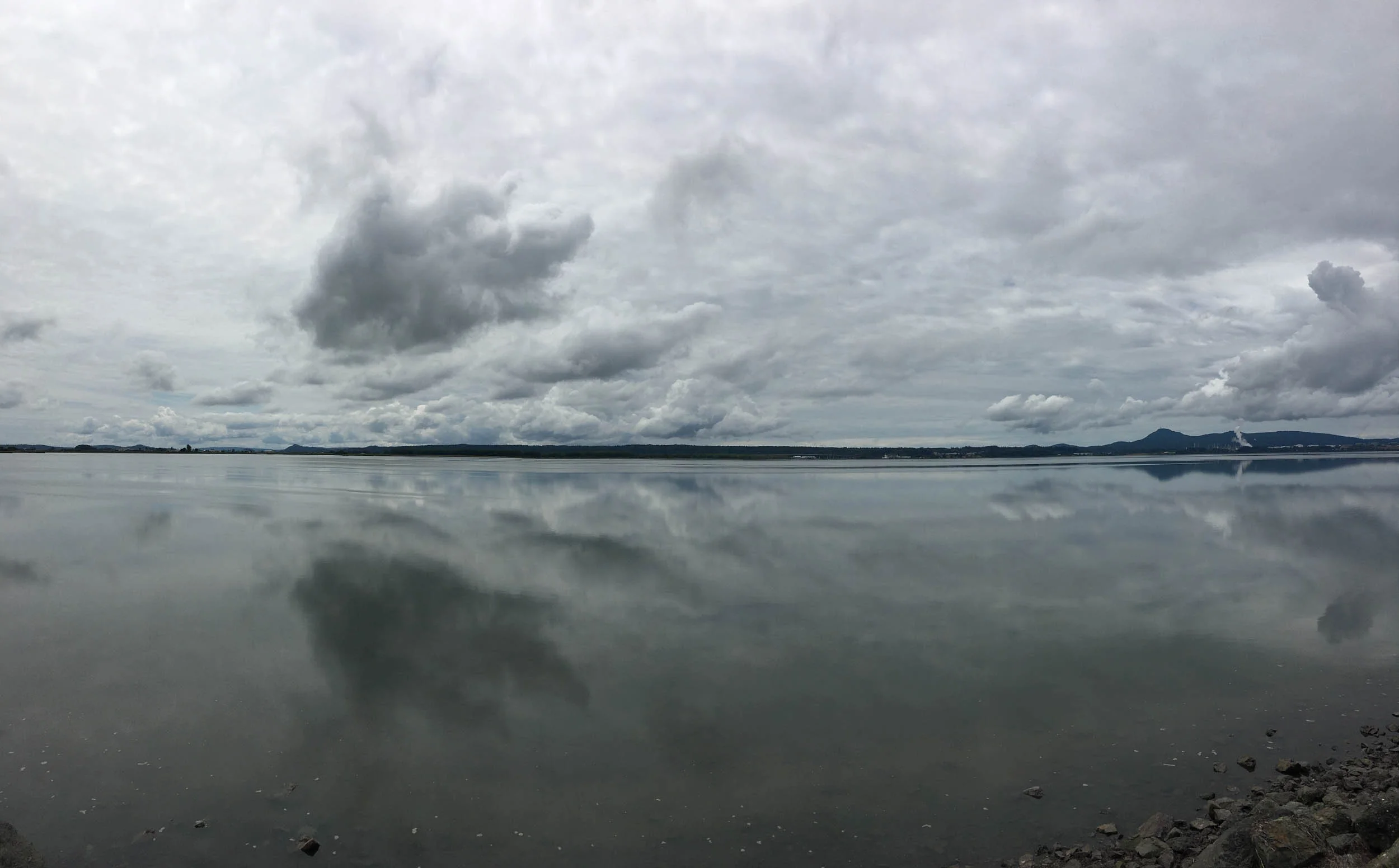 Padilla Bay summer