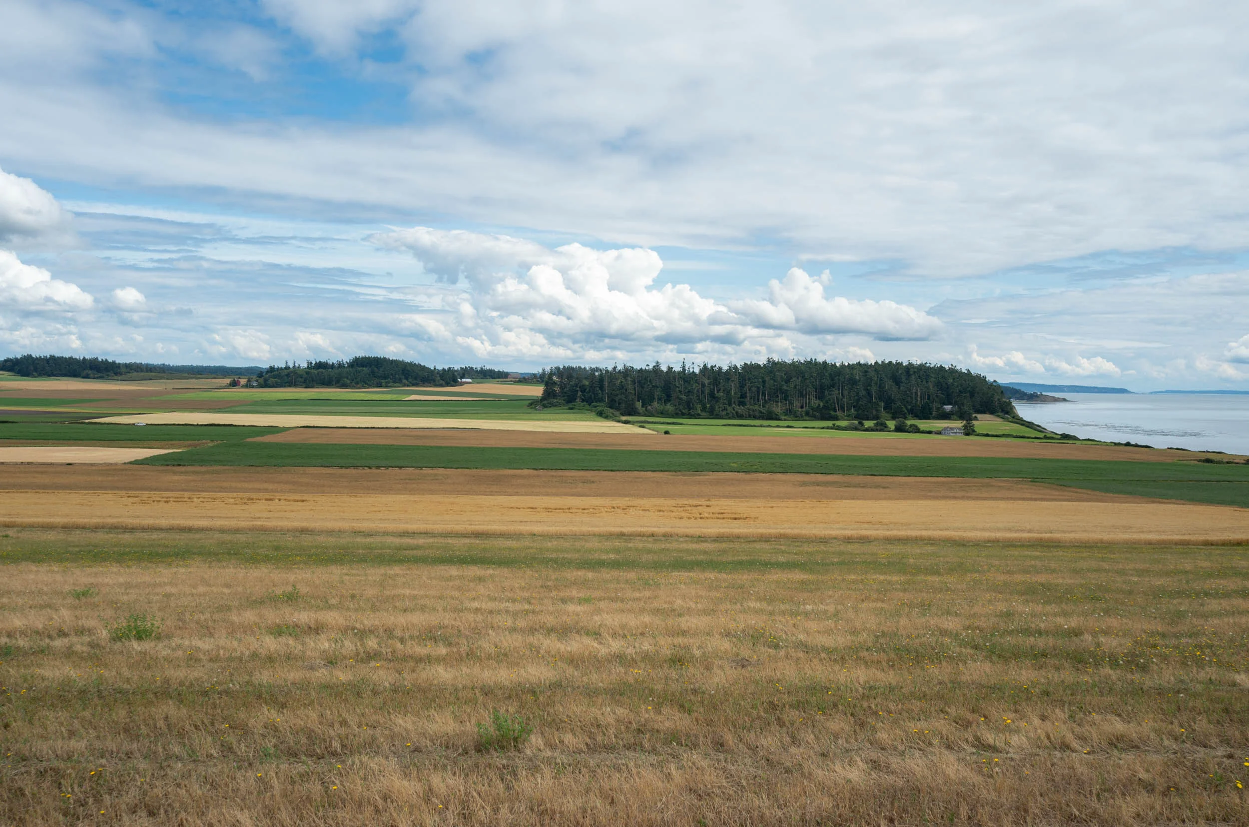 Whidbey farm
