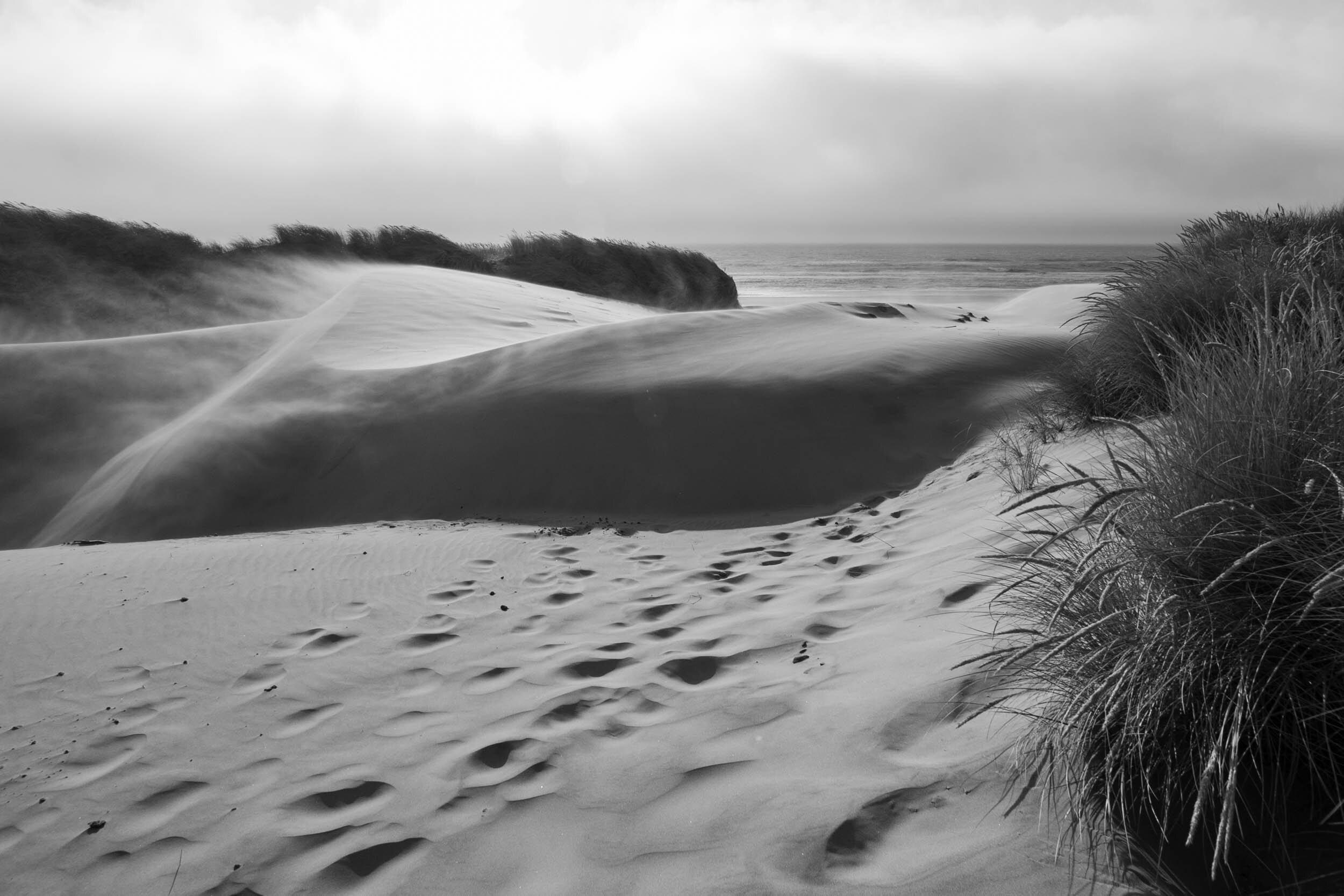 windy beach