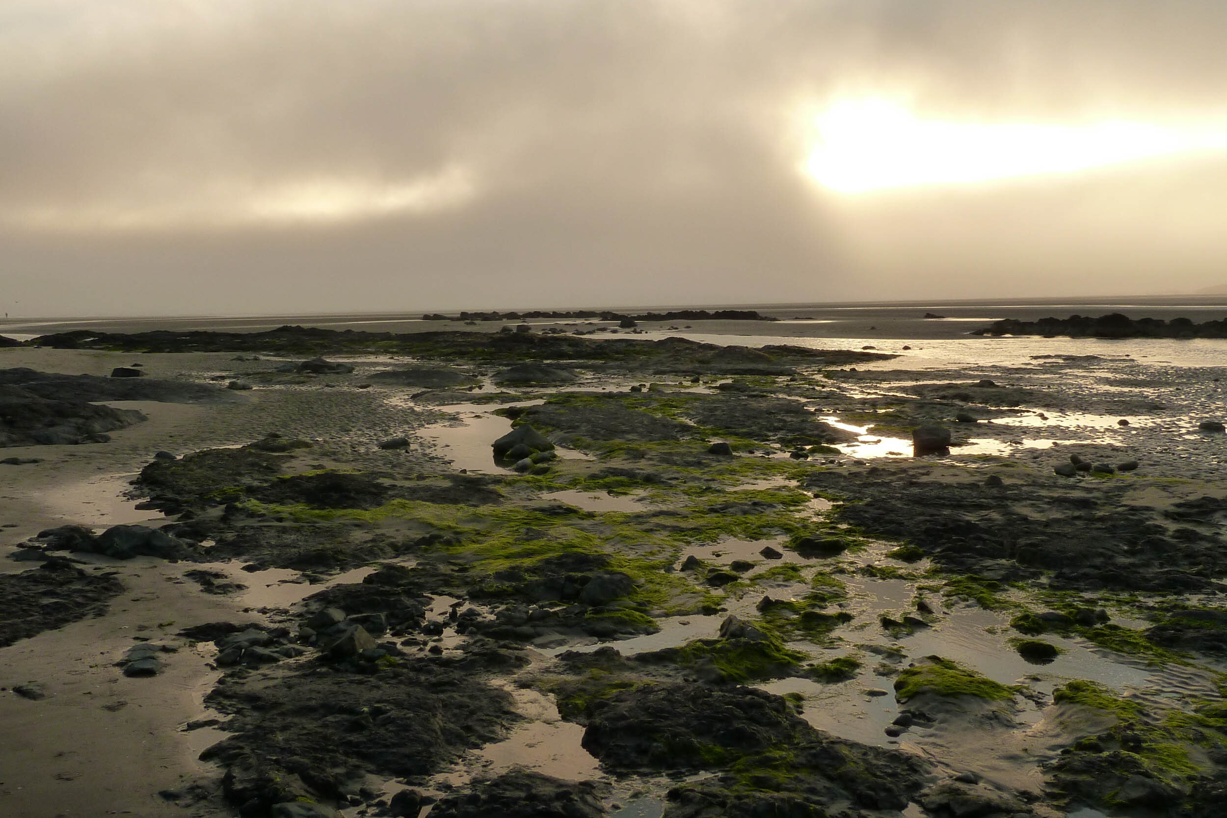 evening beach