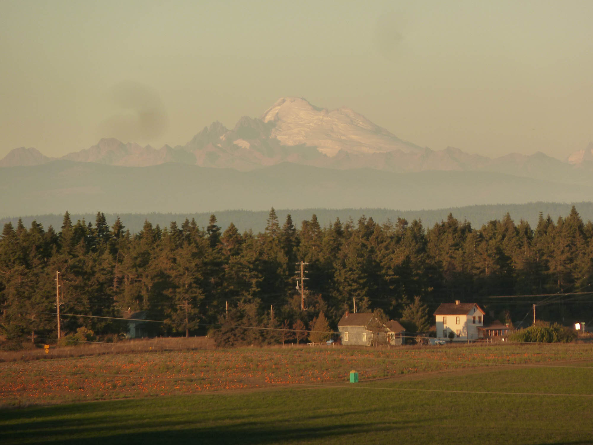 farm with Mount Baker