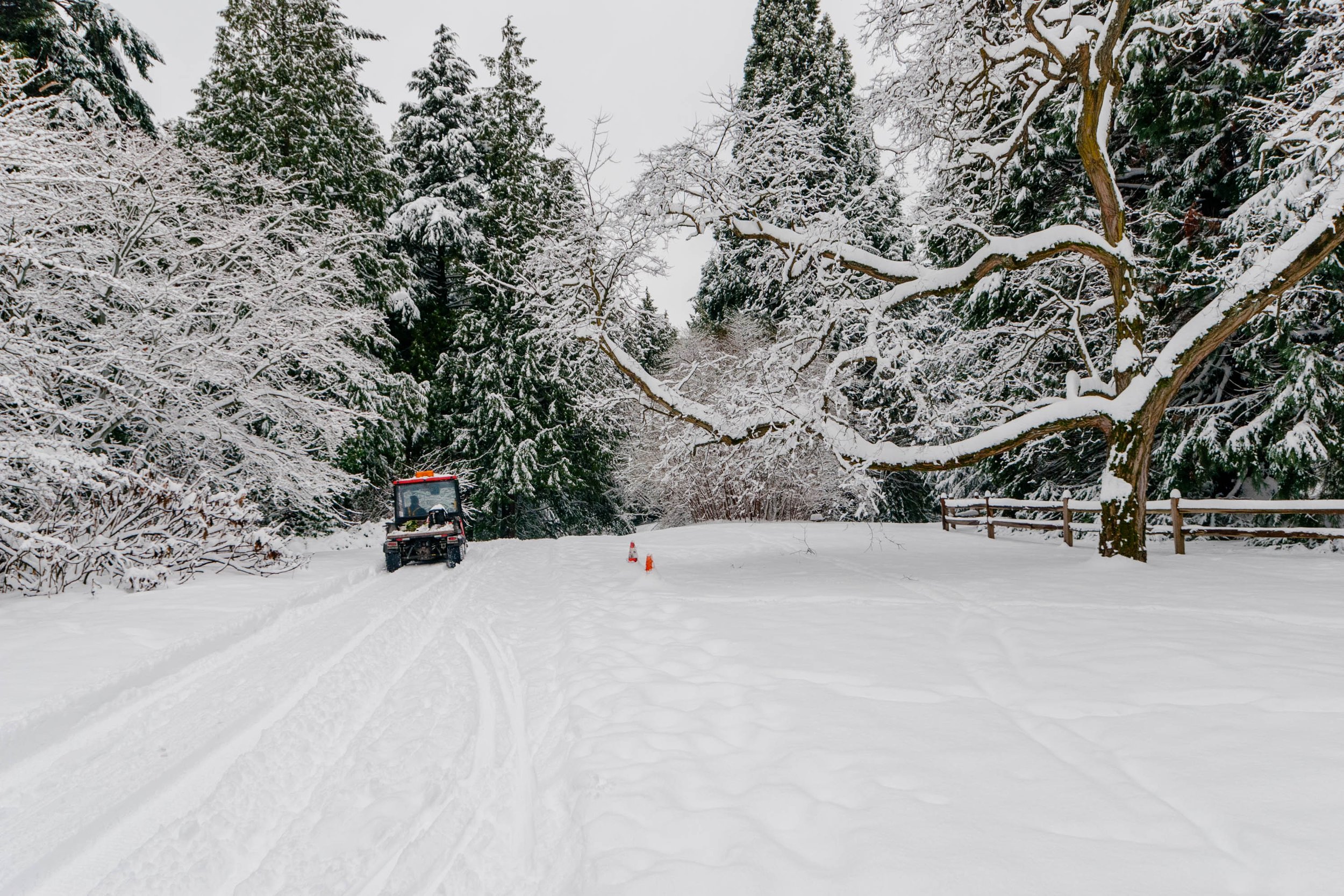 snowcat in city park, 2008