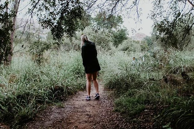 Lookin&rsquo; for that sunshine