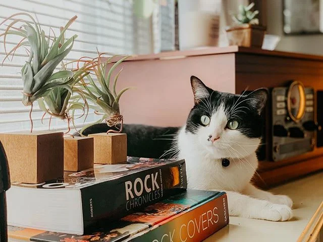 Objects in image are not as innocent as they appear.