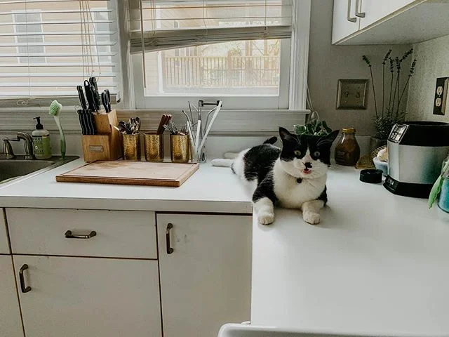 If I die I think we all know who did it