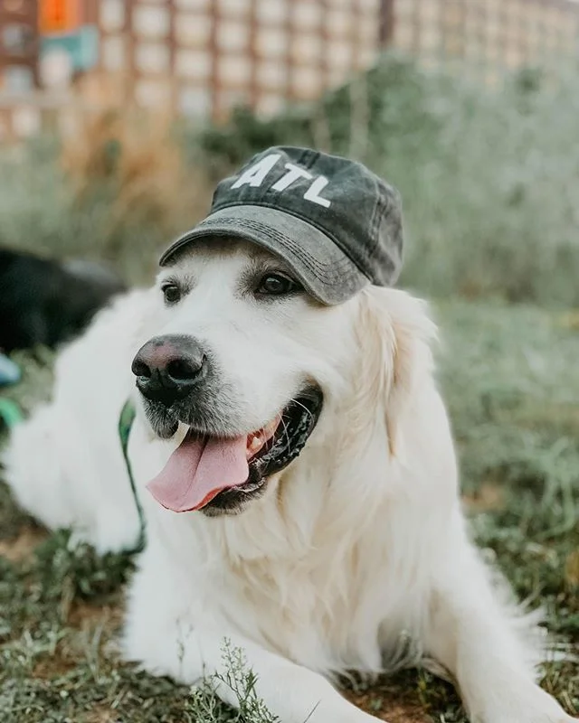 Just a city boi (for the week)🌇