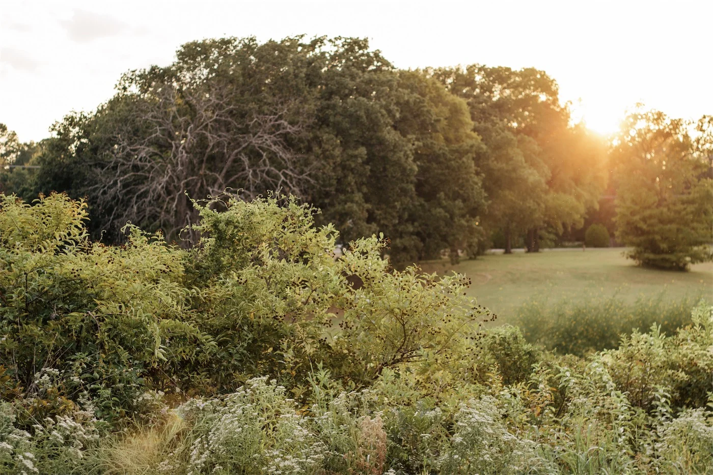 The Honeycutt Family's Fall Photo Session | Chasing After Dear | Authentic Photography from Denton, Tx