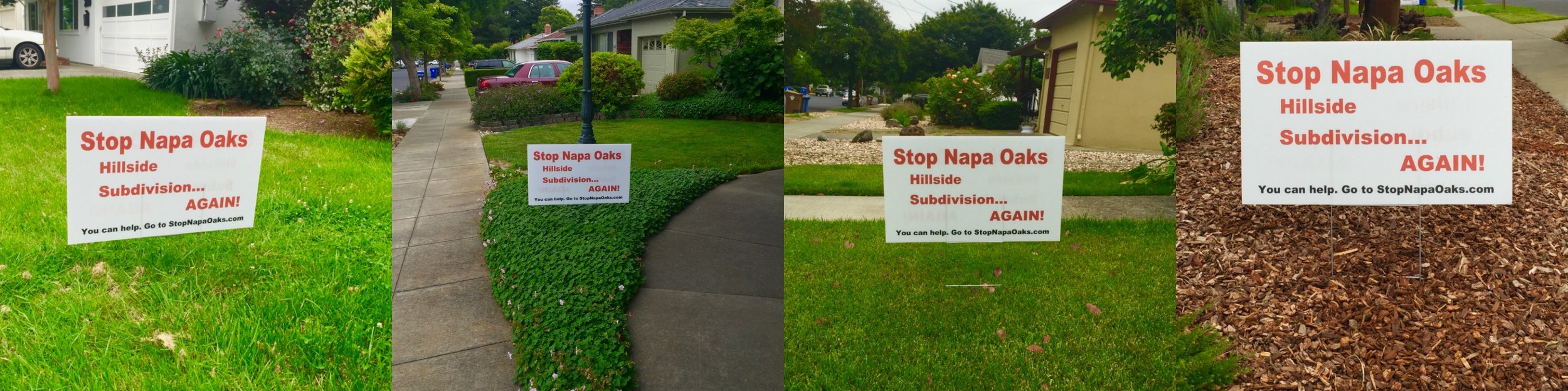 Sign Collage Row.jpg