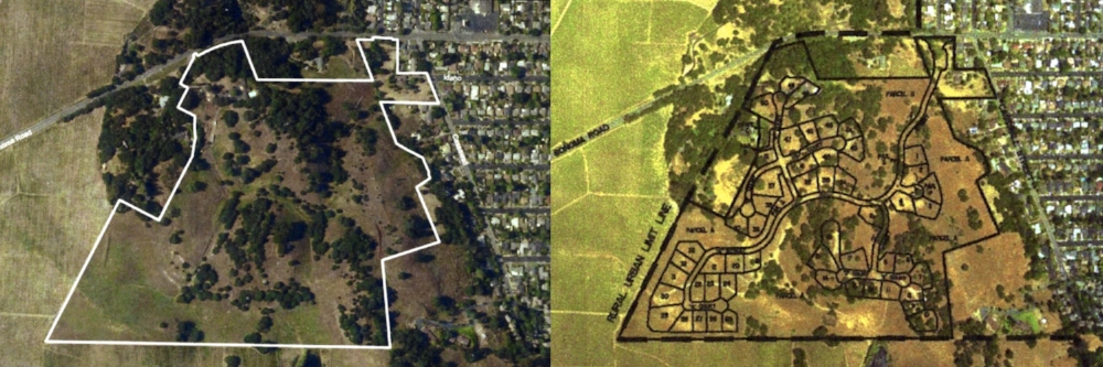 Stop Napa Oaks Before _ After Photo.001.jpeg