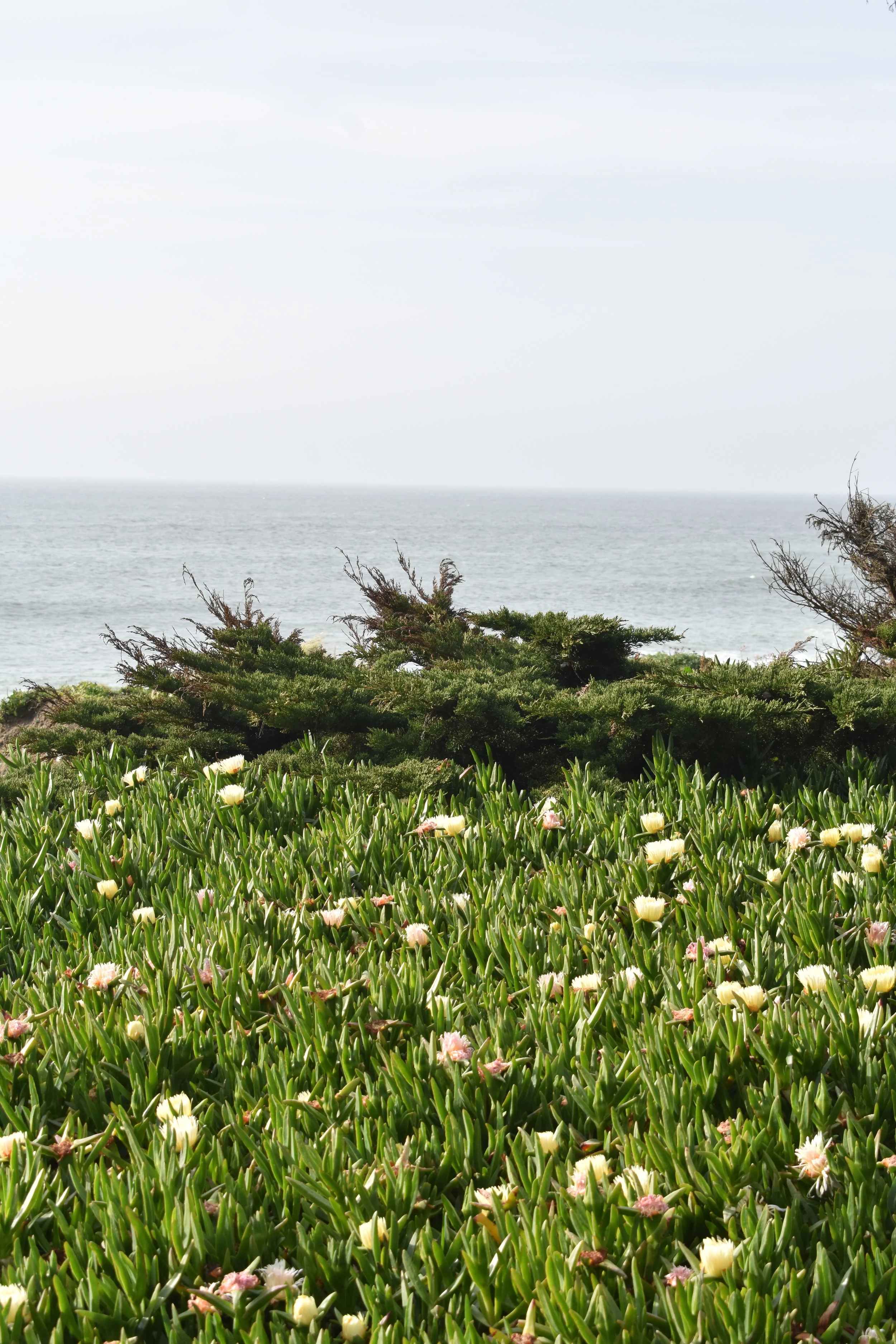 DSC_0177.JPG