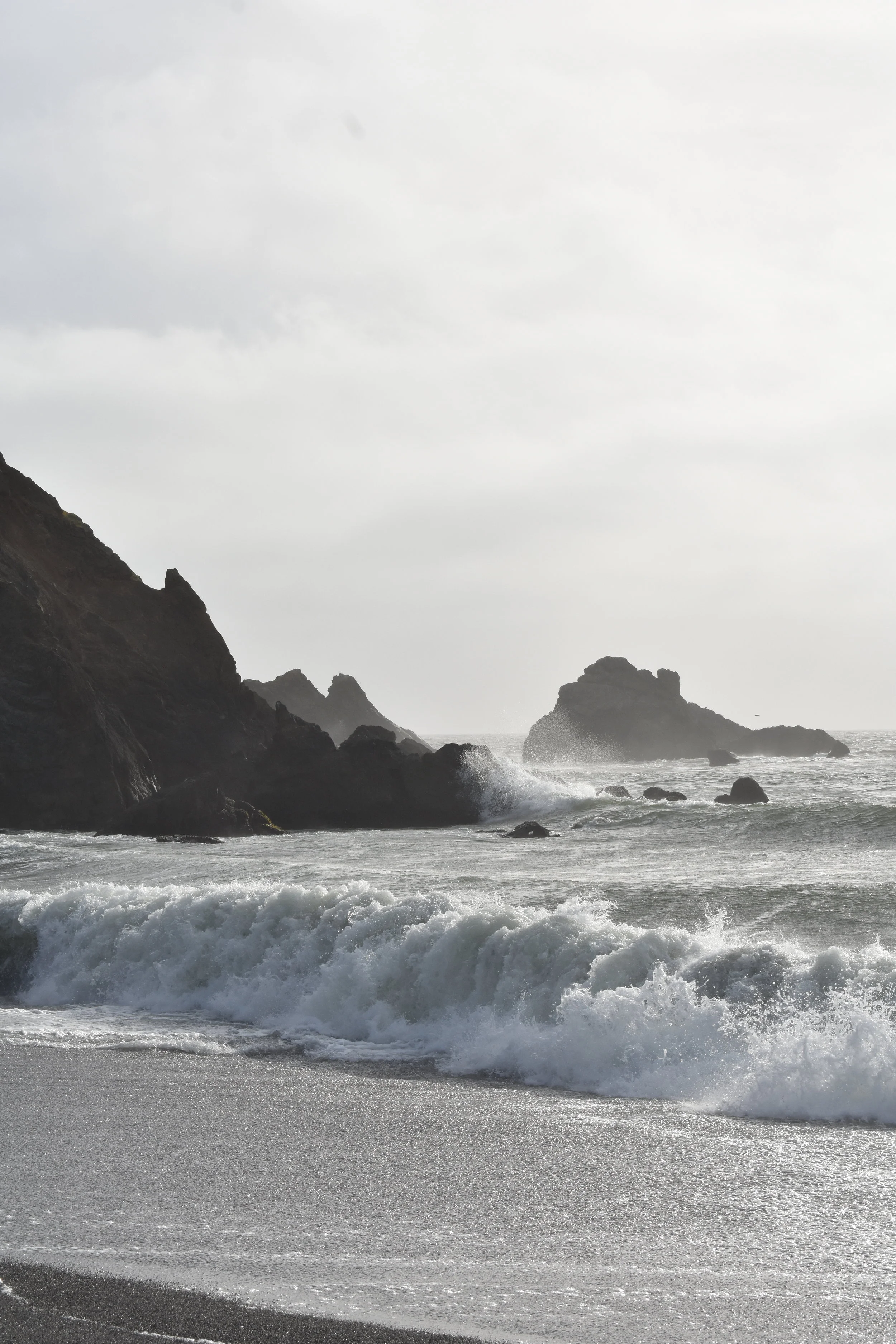 DSC_0198.JPG