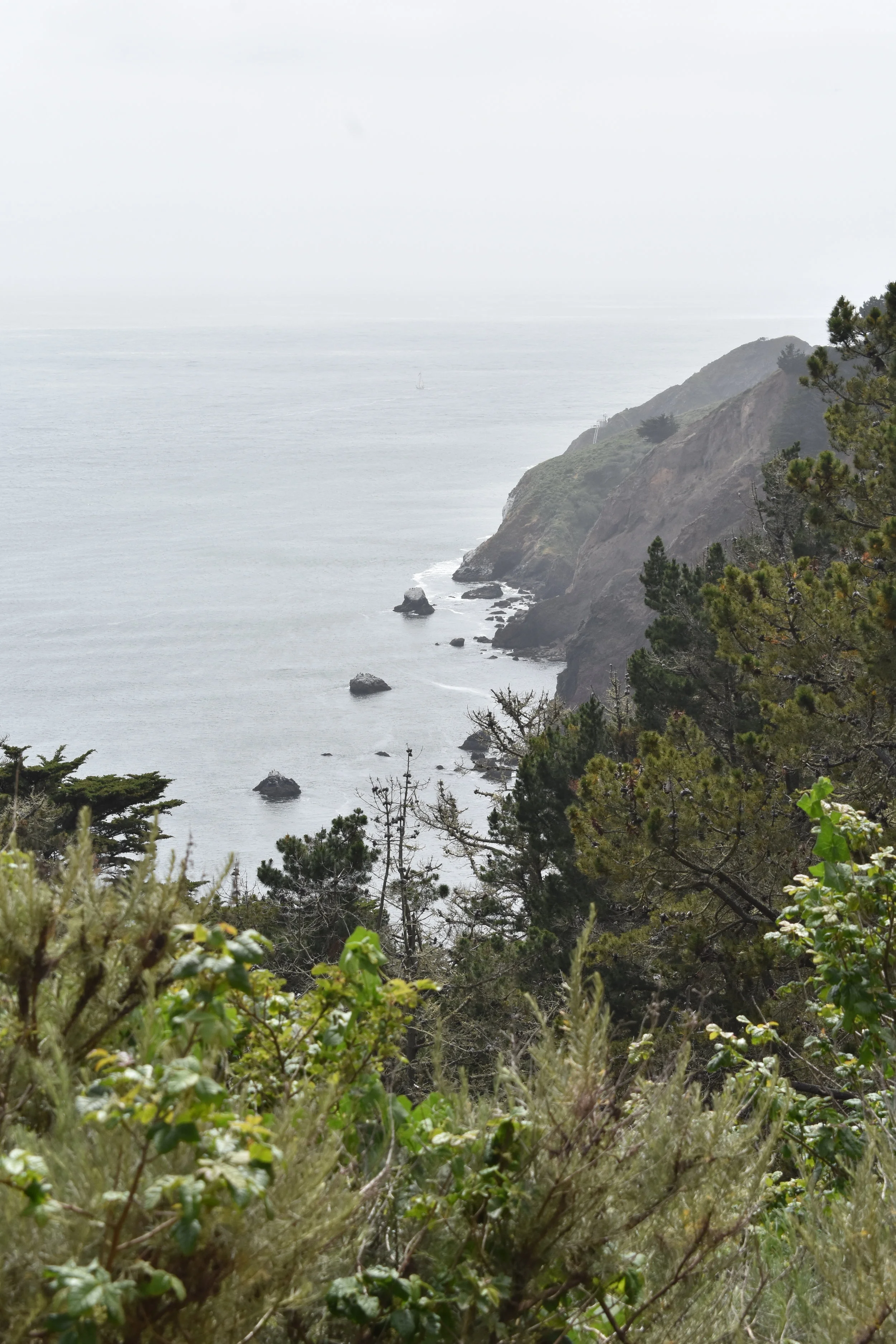 DSC_0318.JPG
