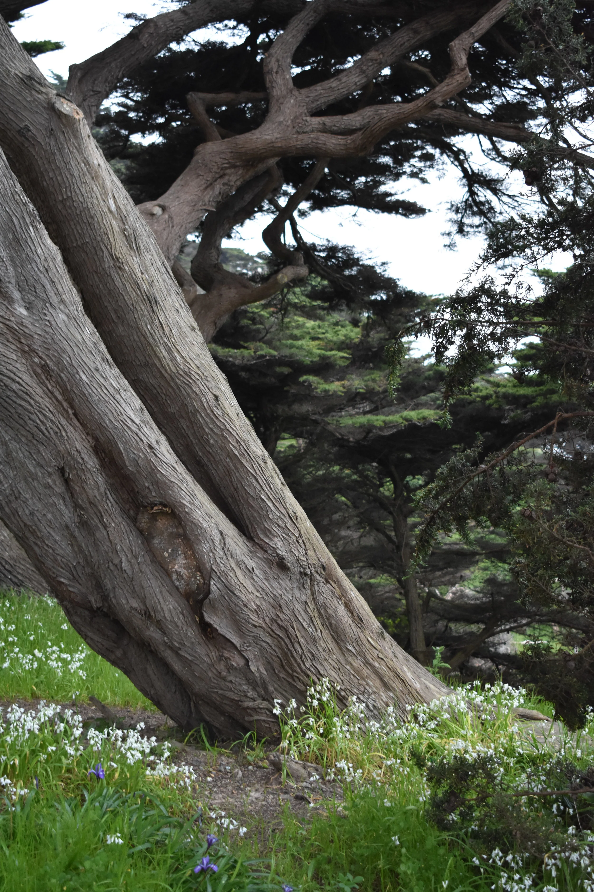 DSC_1636.JPG