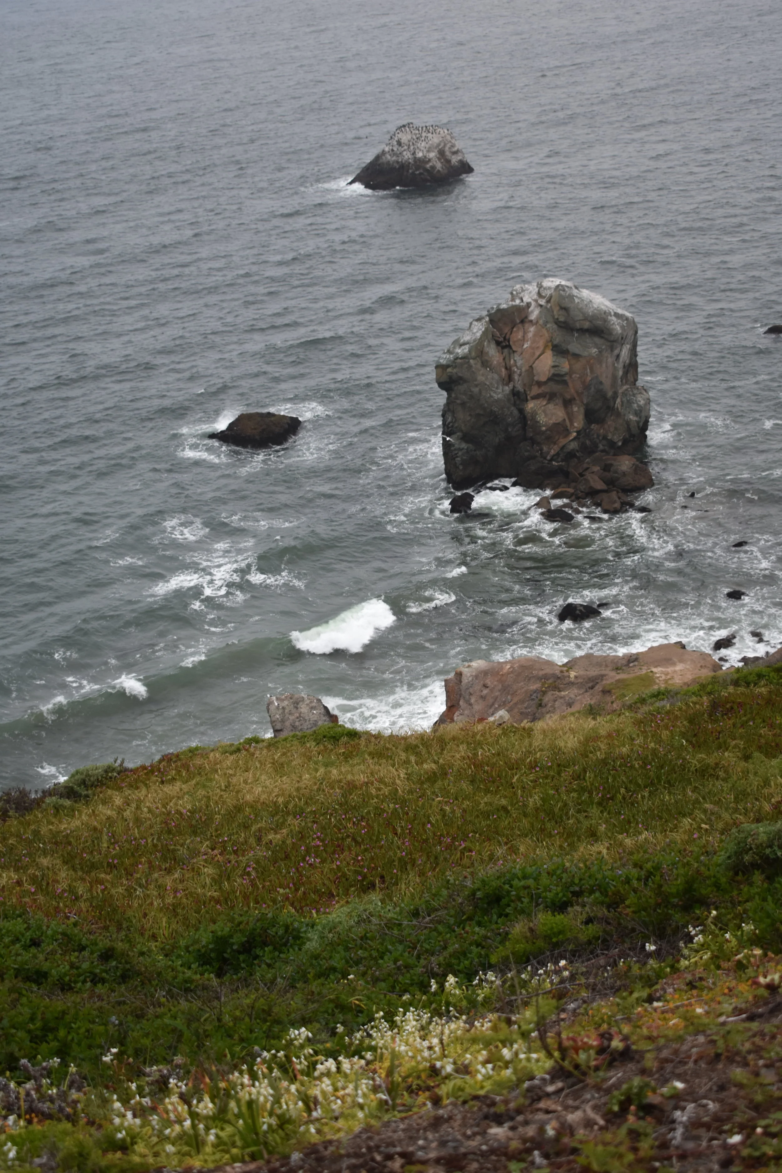 DSC_1641.JPG